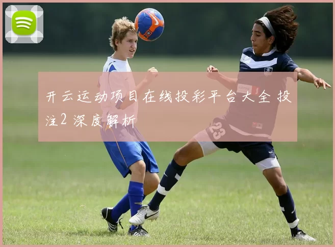 开云运动项目在线投彩平台大全 投注2 深度解析