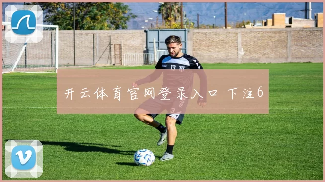 开云体育官网登录入口 下注6