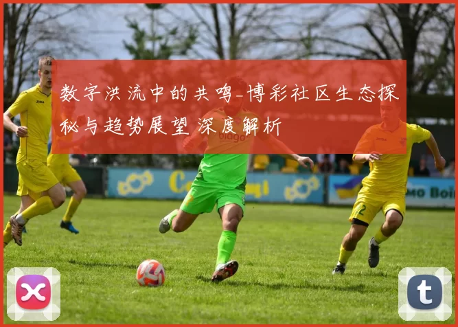 数字洪流中的共鸣_博彩社区生态探秘与趋势展望 深度解析