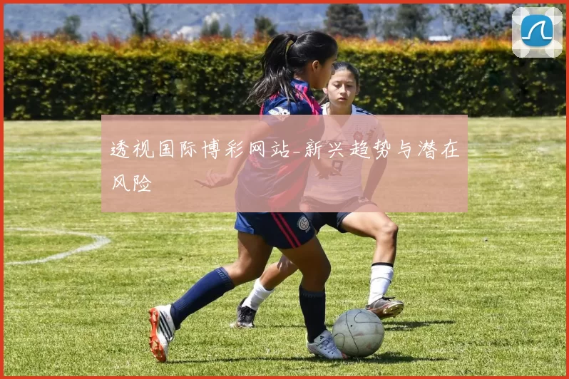 透视国际博彩网站_新兴趋势与潜在风险