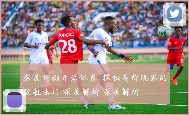 深度评测开云体育_探秘高阶玩家的致胜法门 深度解析 深度解析