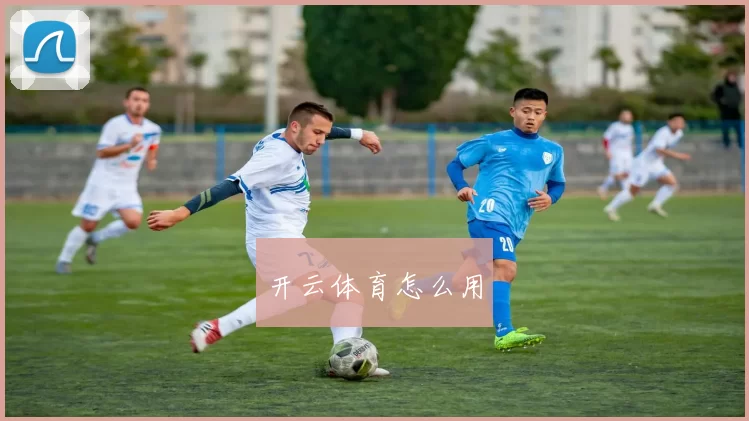 开云体育怎么用