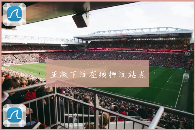 正版下注在线押注站点