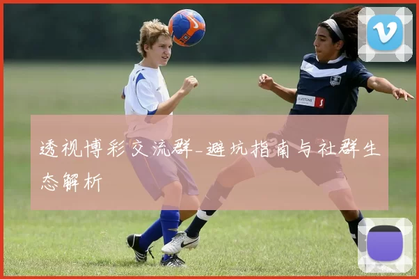 透视博彩交流群_避坑指南与社群生态解析