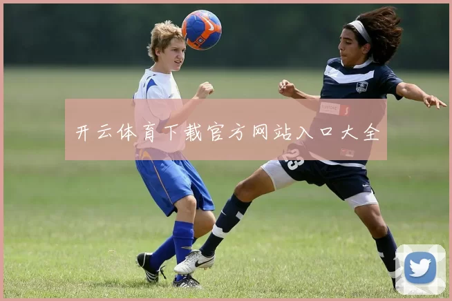 开云体育下载官方网站入口大全