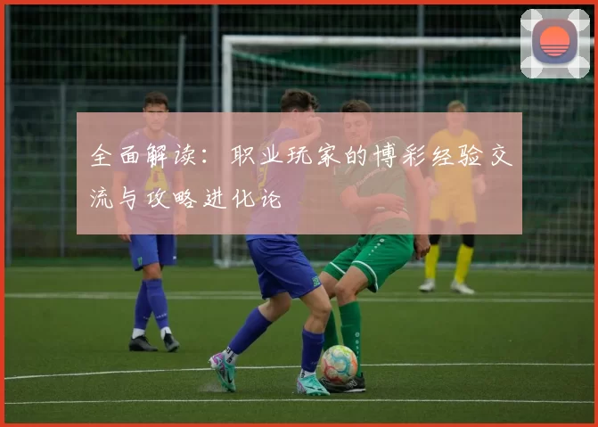 全面解读：职业玩家的博彩经验交流与攻略进化论