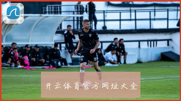 开云体育官方网址大全