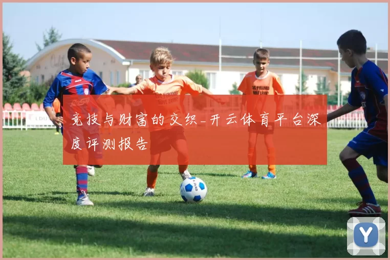 竞技与财富的交织_开云体育平台深度评测报告