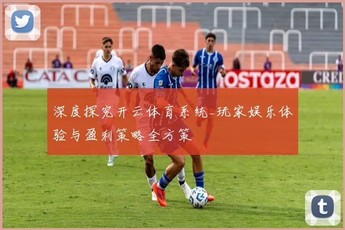 深度探究开云体育系统_玩家娱乐体验与盈利策略全方策