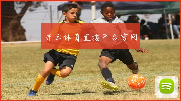 开云体育直播平台官网