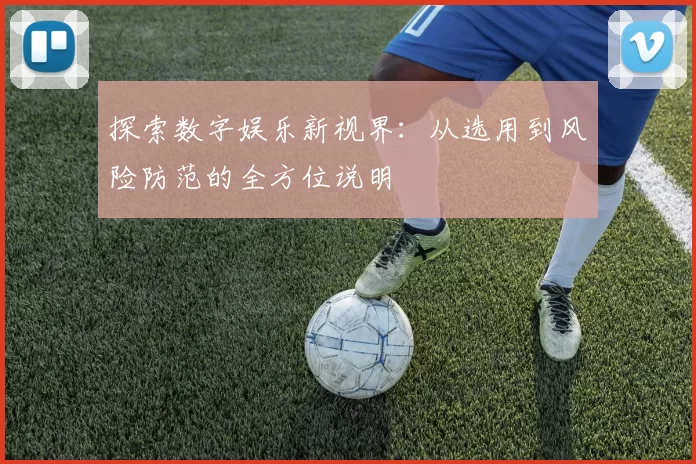 探索数字娱乐新视界：从选用到风险防范的全方位说明