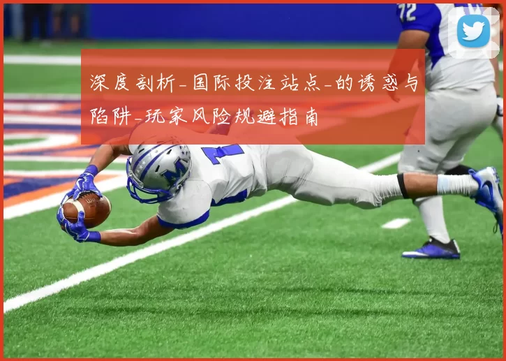 深度剖析_国际投注站点_的诱惑与陷阱_玩家风险规避指南