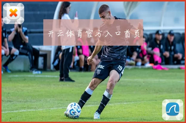开云体育官方入口首页