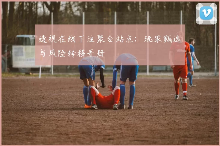 透视在线下注聚合站点：玩家甄选与风险转移手册