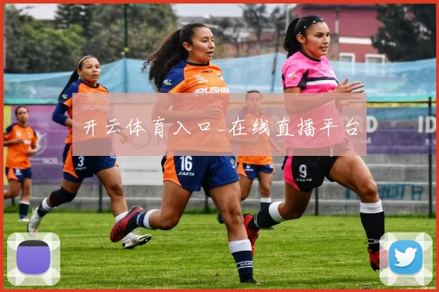 开云体育入口_在线直播平台