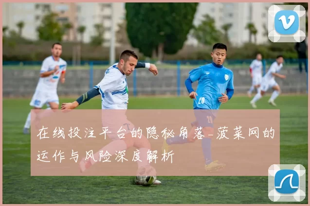 在线投注平台的隐秘角落_菠菜网的运作与风险深度解析