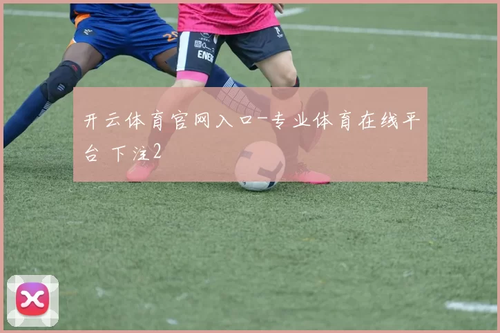 开云体育官网入口-专业体育在线平台 下注2