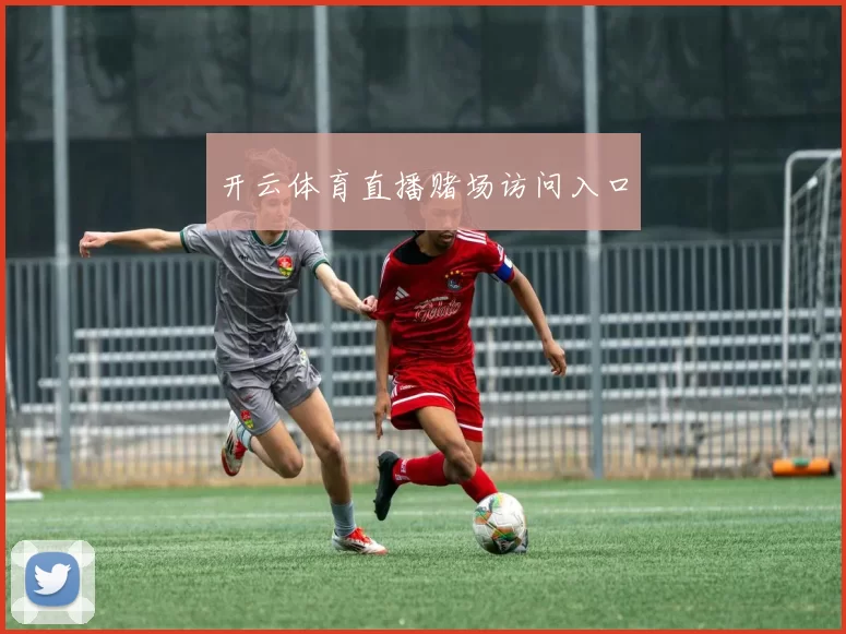 开云体育直播赌场访问入口