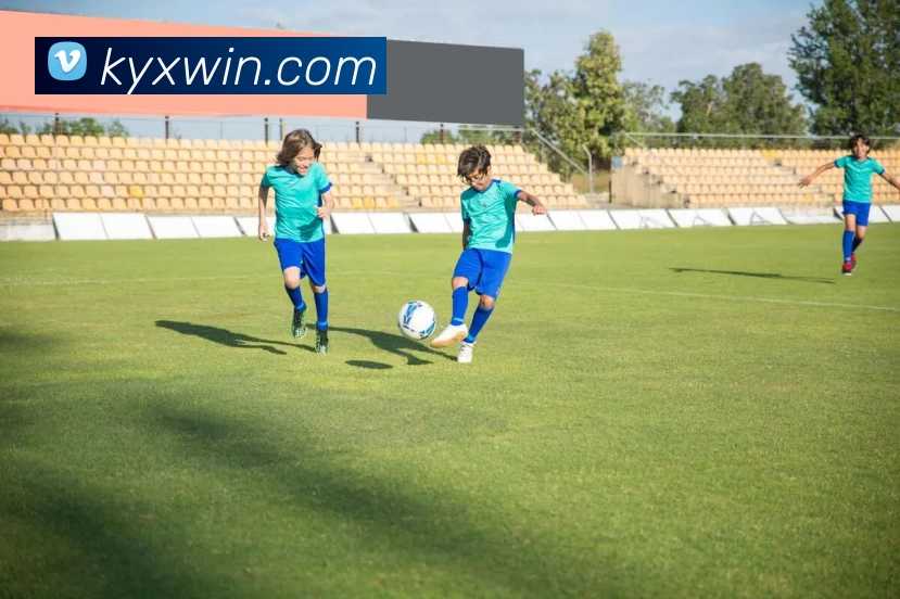 kaiyun平台生态图